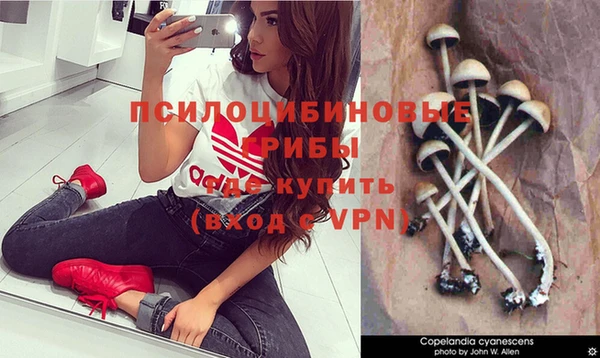 герыч Наволоки