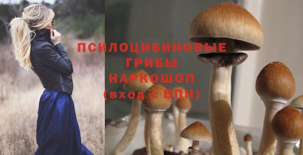кокс Надым