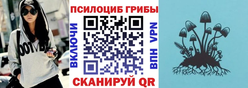 как найти закладки  Гурьевск  Псилоцибиновые грибы мицелий 