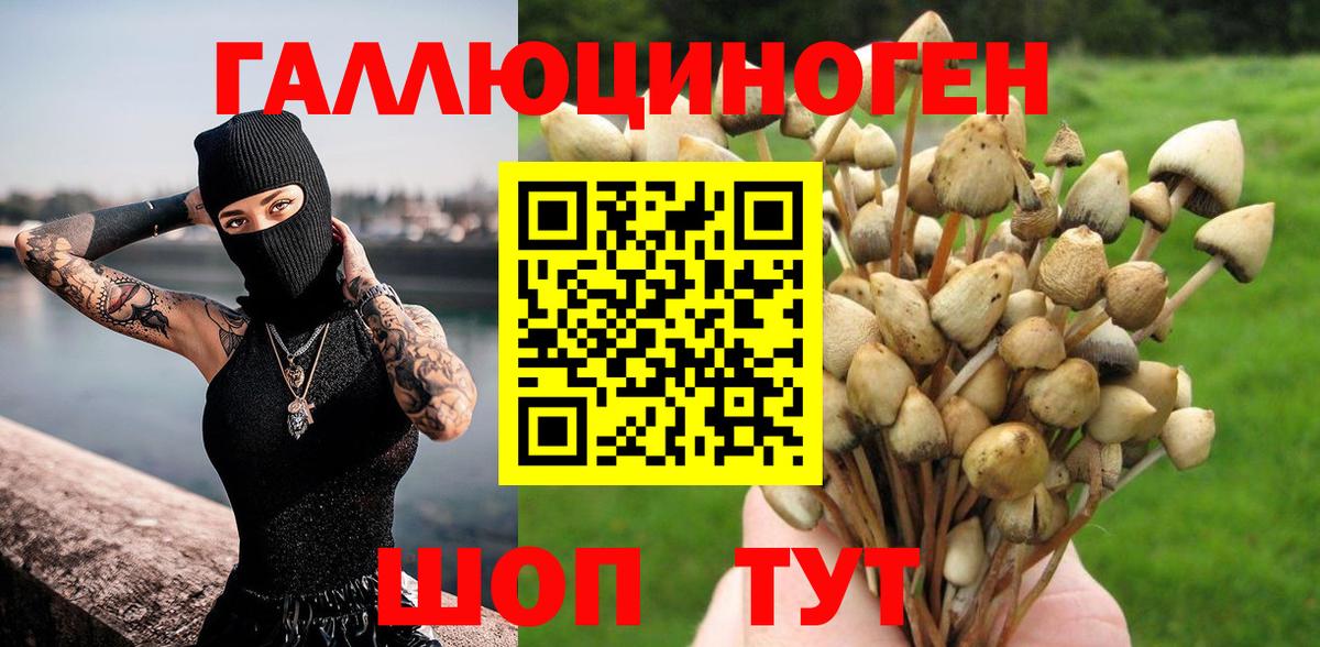 Галлюциногенные грибы мухоморы  Псилоцибиновые грибы MAGIC MUSHROOMS  Гурьевск 